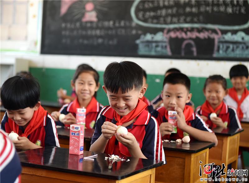 河北省农村小学生都吃上免费营养餐啦