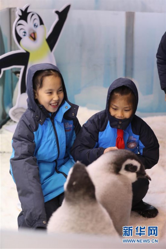（社會）（2）廣東珠海：小學生零距離接觸帝企鵝